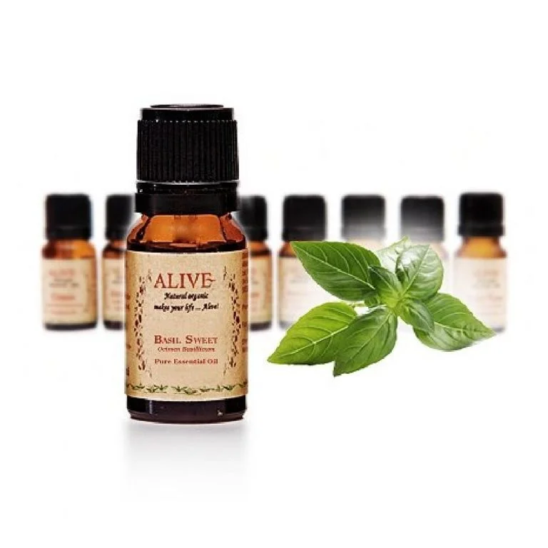 Basil Sweet Essential Oil Basil Sweet (Sweet Basil) - Image 1