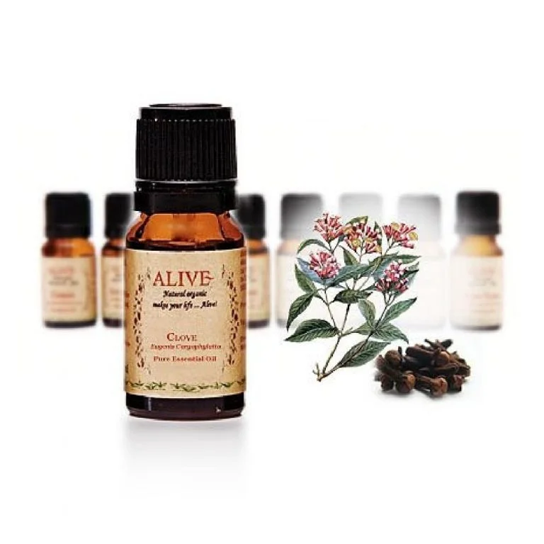 Clove Essential Oil Clove - Image 1