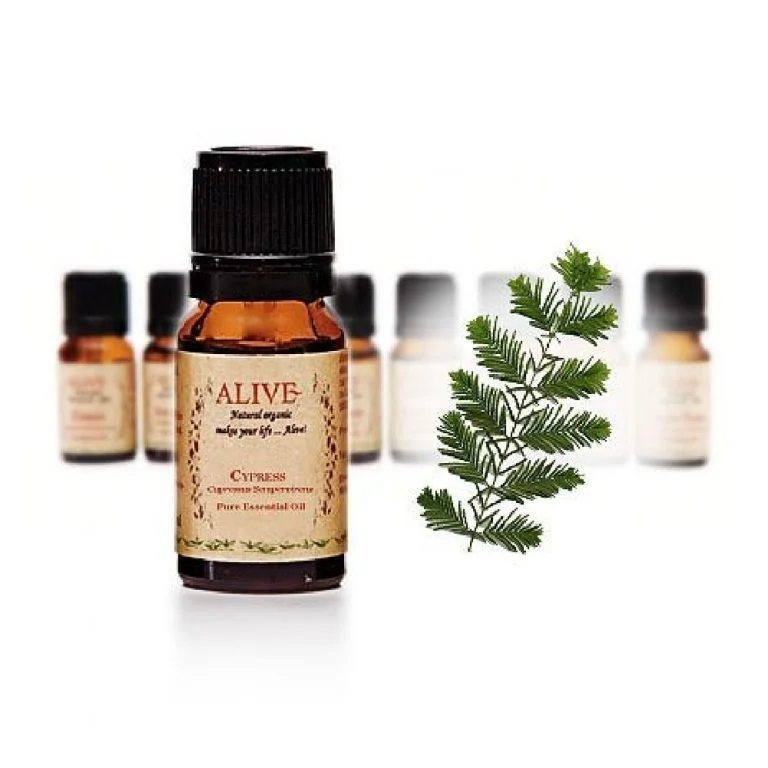Cypress Essential Oil Cypress - Image 1
