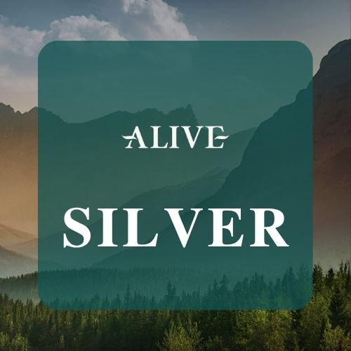16 LC Package - Silver - Image 1