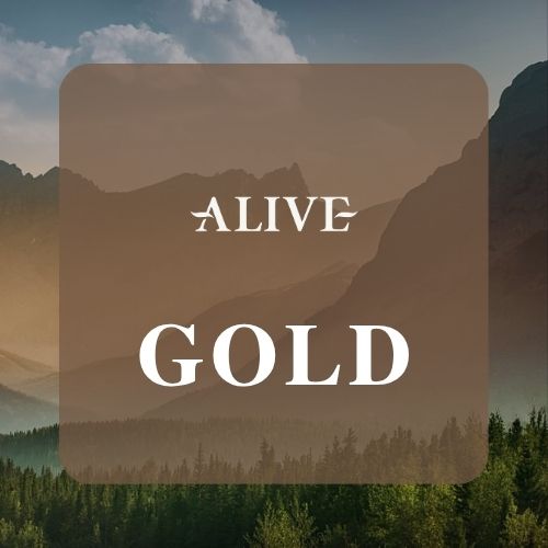 17 LC Package - Gold - Image 1